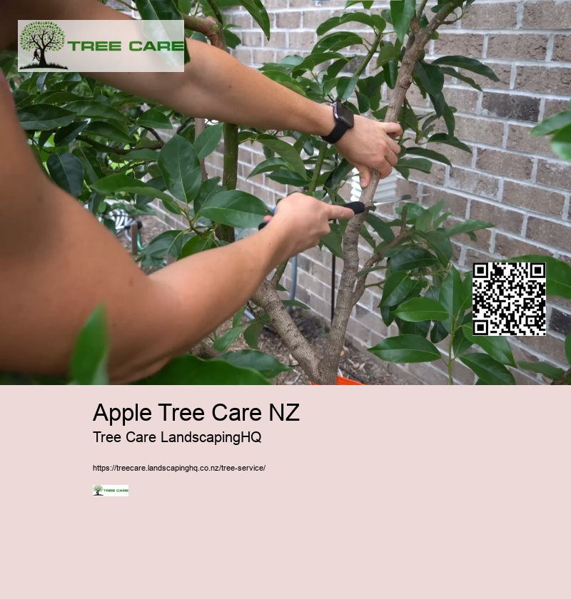 Tree Trimming NZ