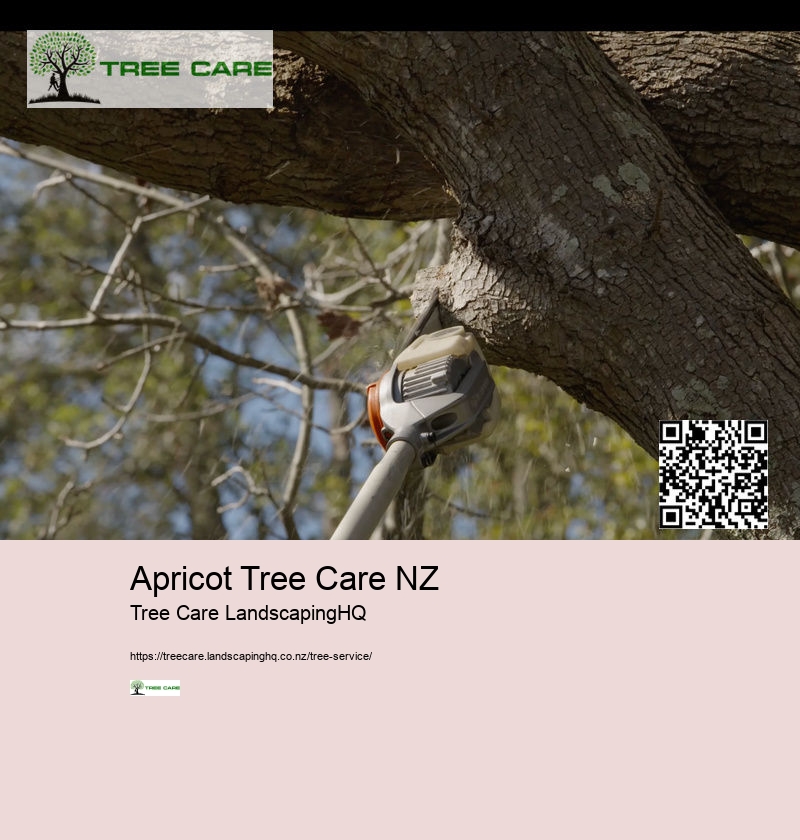 Best Time To Trim Trees NZ