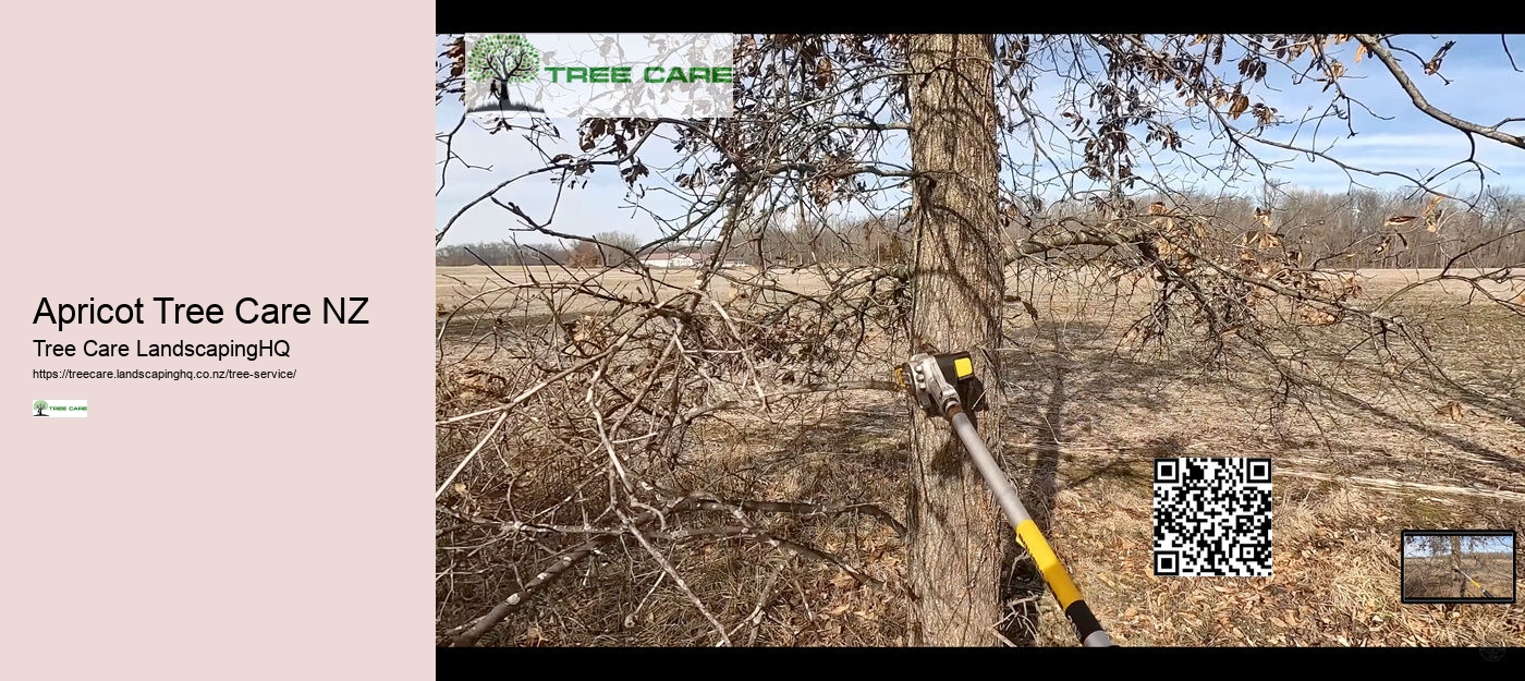 Apricot Tree Care NZ