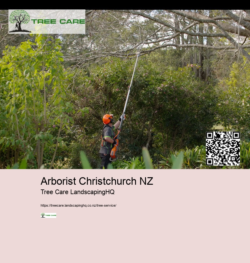 Arborist Christchurch NZ