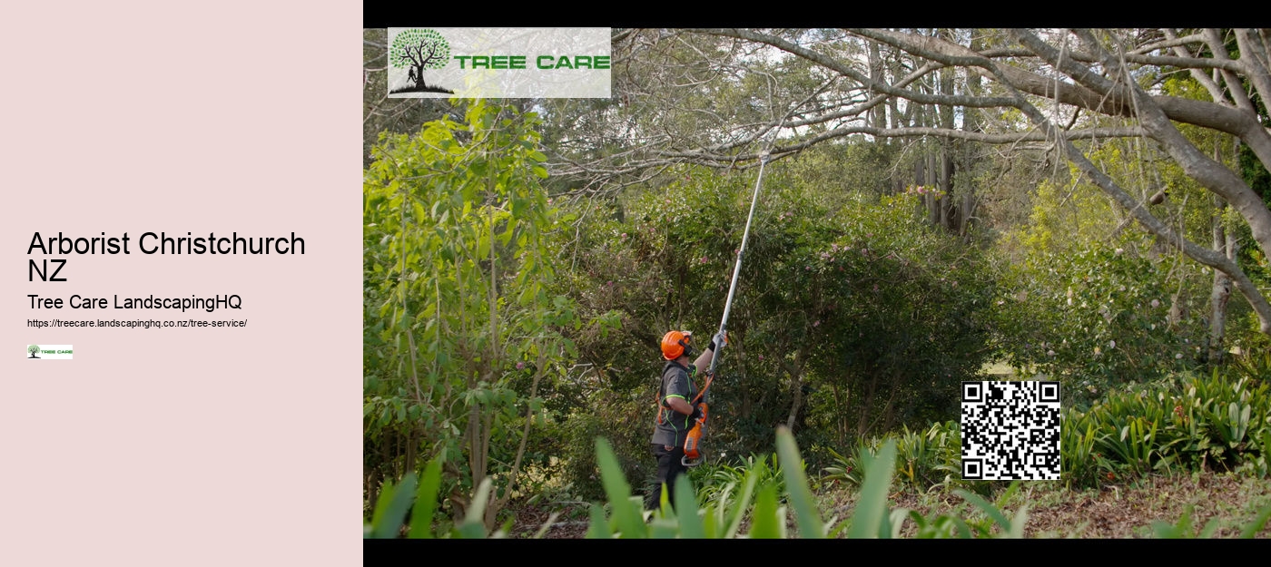 Tree Pruning Christchurch NZ