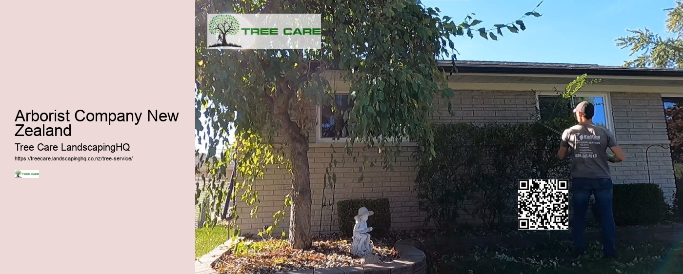 Tree Removal Napier