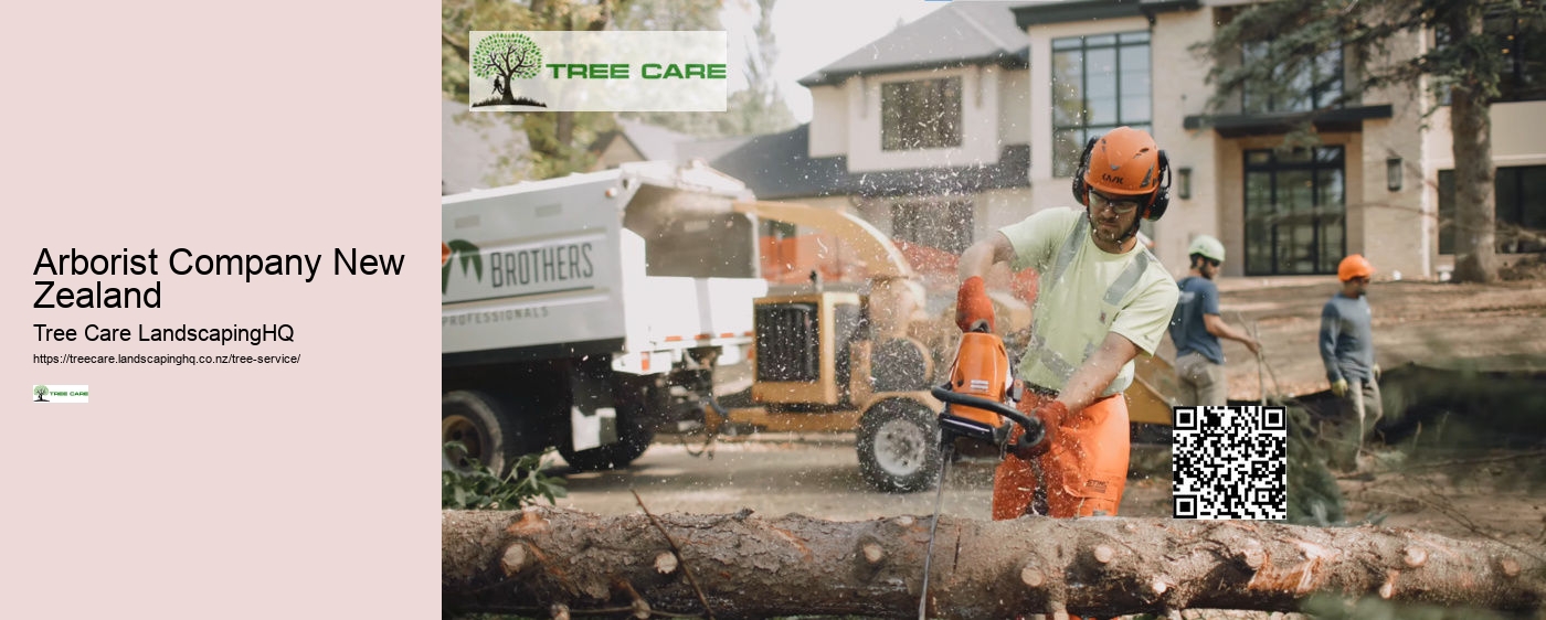 Arborist Cost NZ