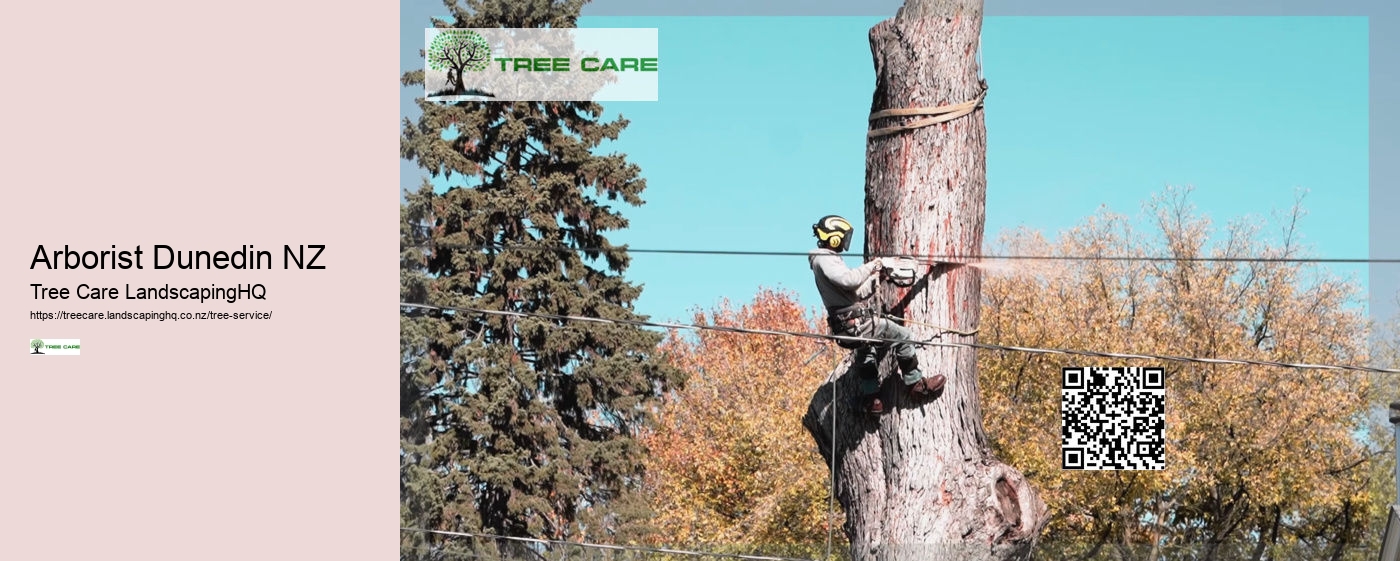 Arborist Lower Hutt