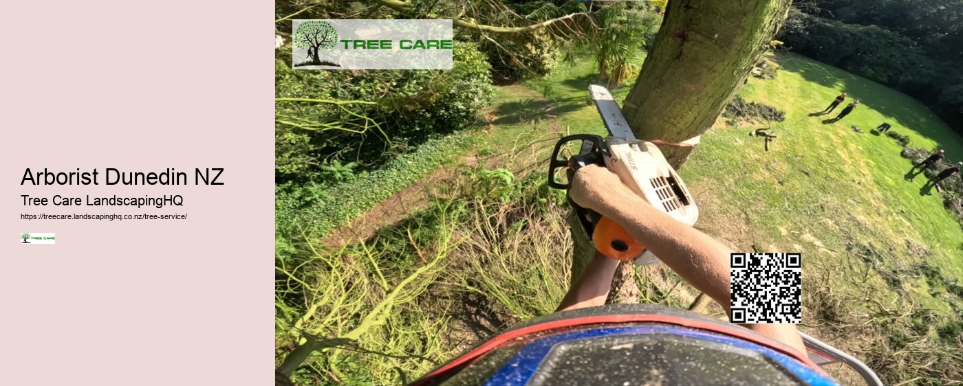 Tree Arborist Auckland