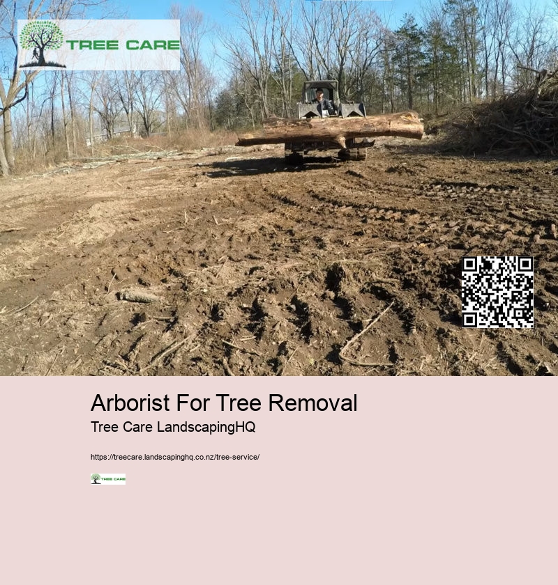 Arborist For Tree Removal