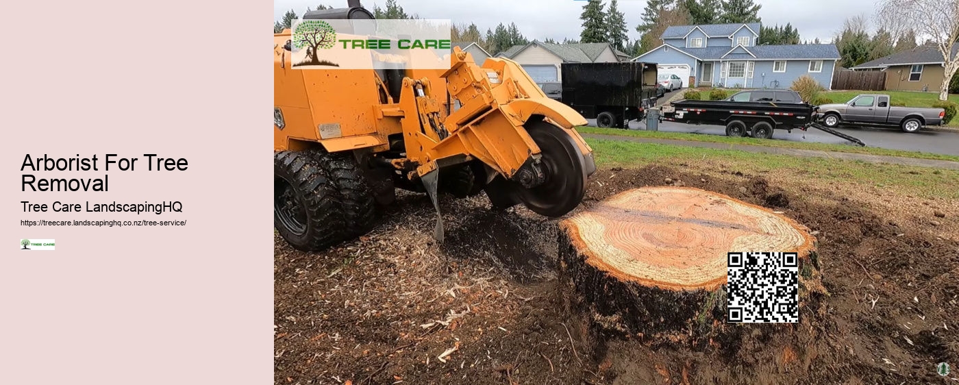 Tree Arborist