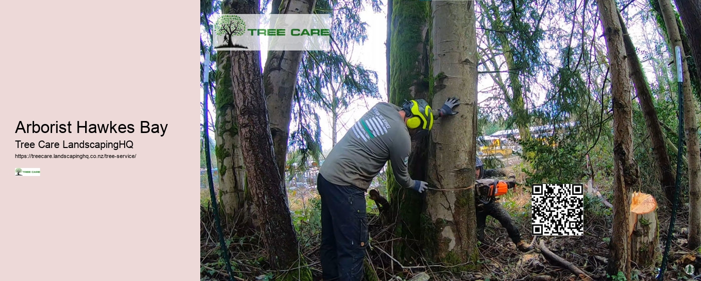 Tree Removal North Shore Auckland