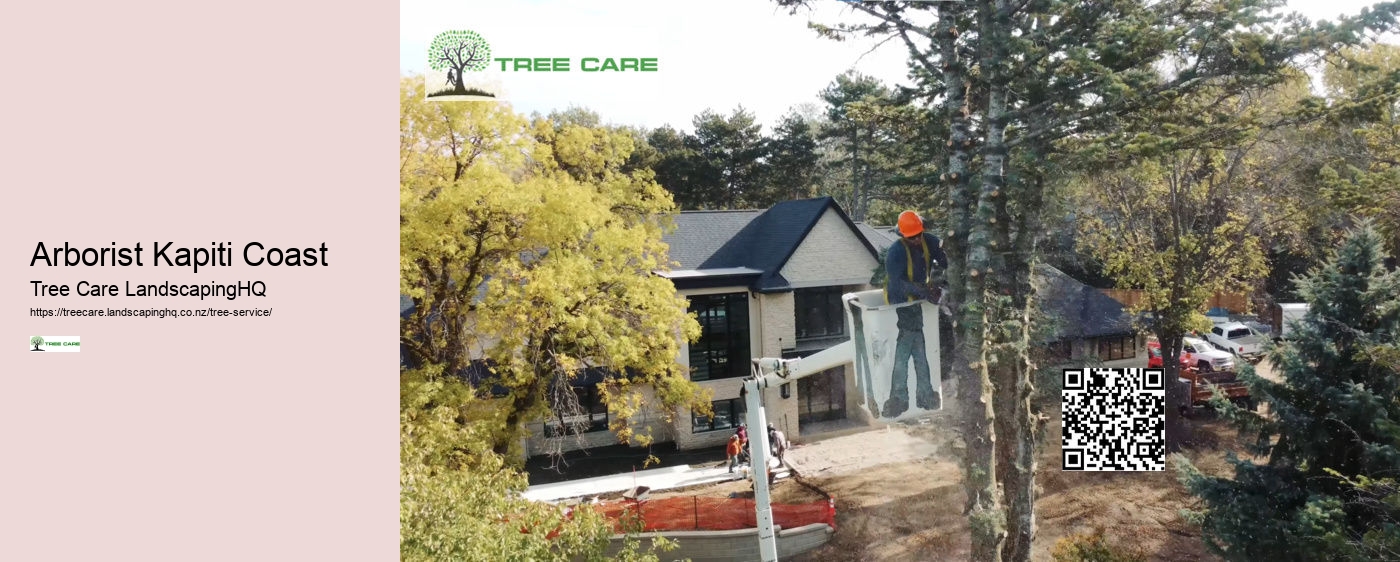 Tree Trimming Auckland