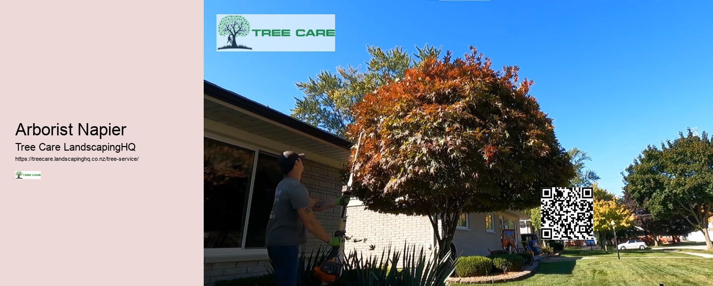 Tree Services Wellington