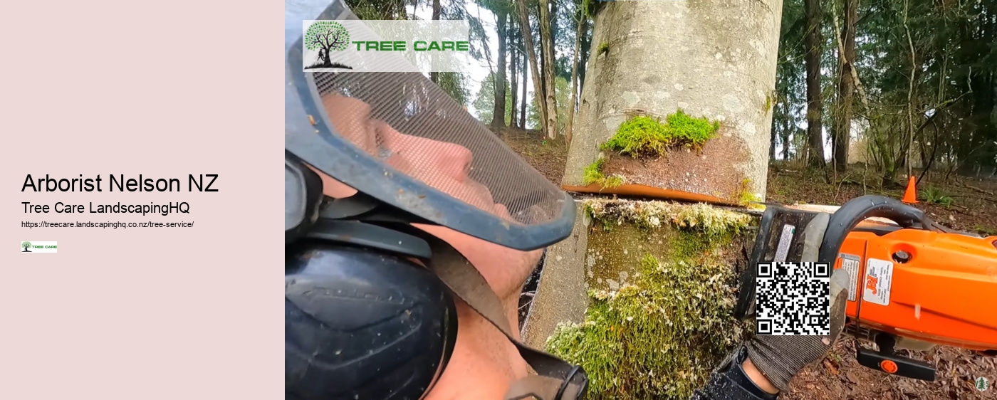 Tree Trimming North Shore Auckland