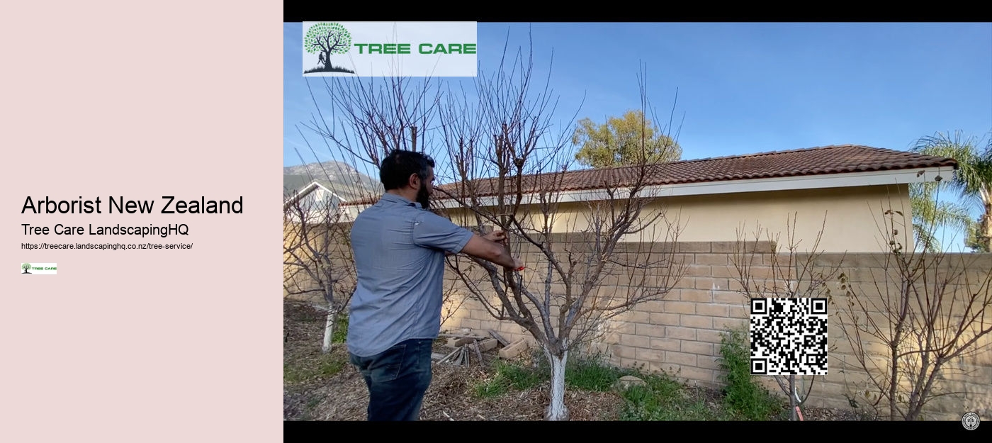 Arborist New Zealand