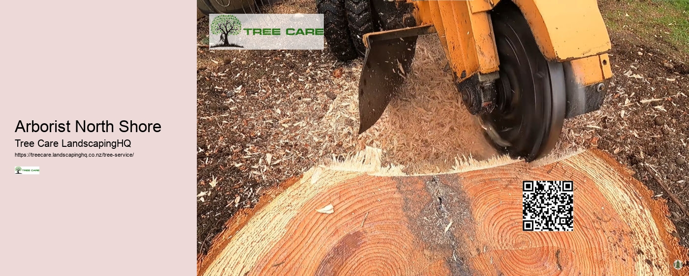 Tree Services Rotorua