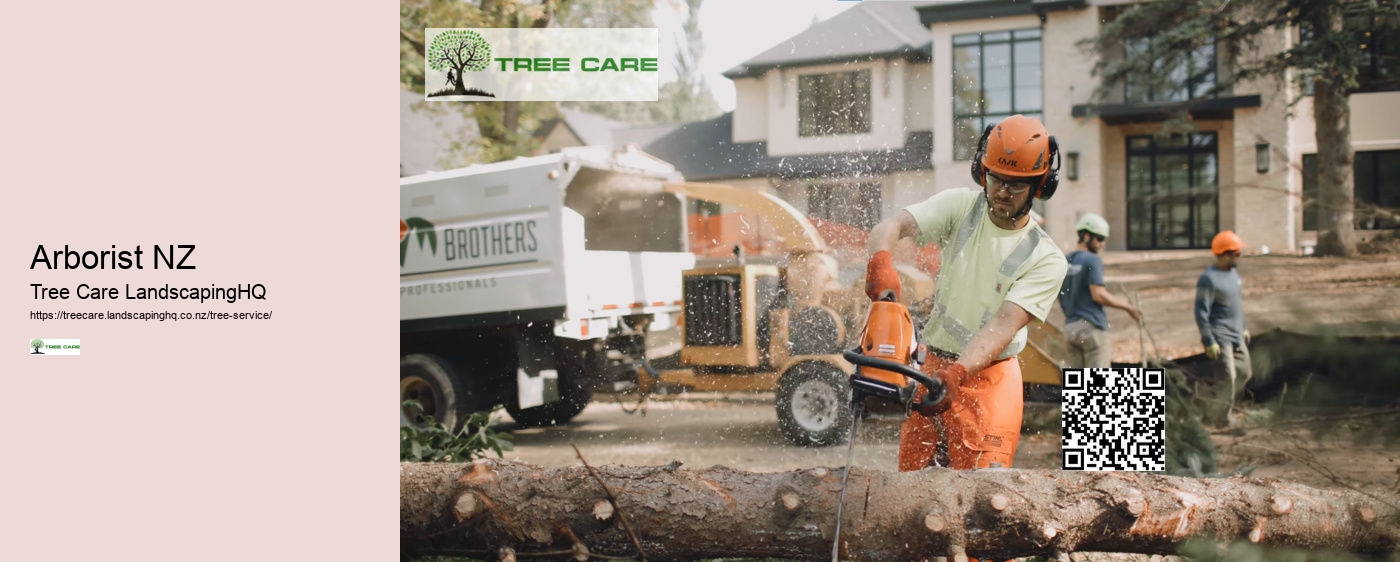 Tree Removal Tauranga