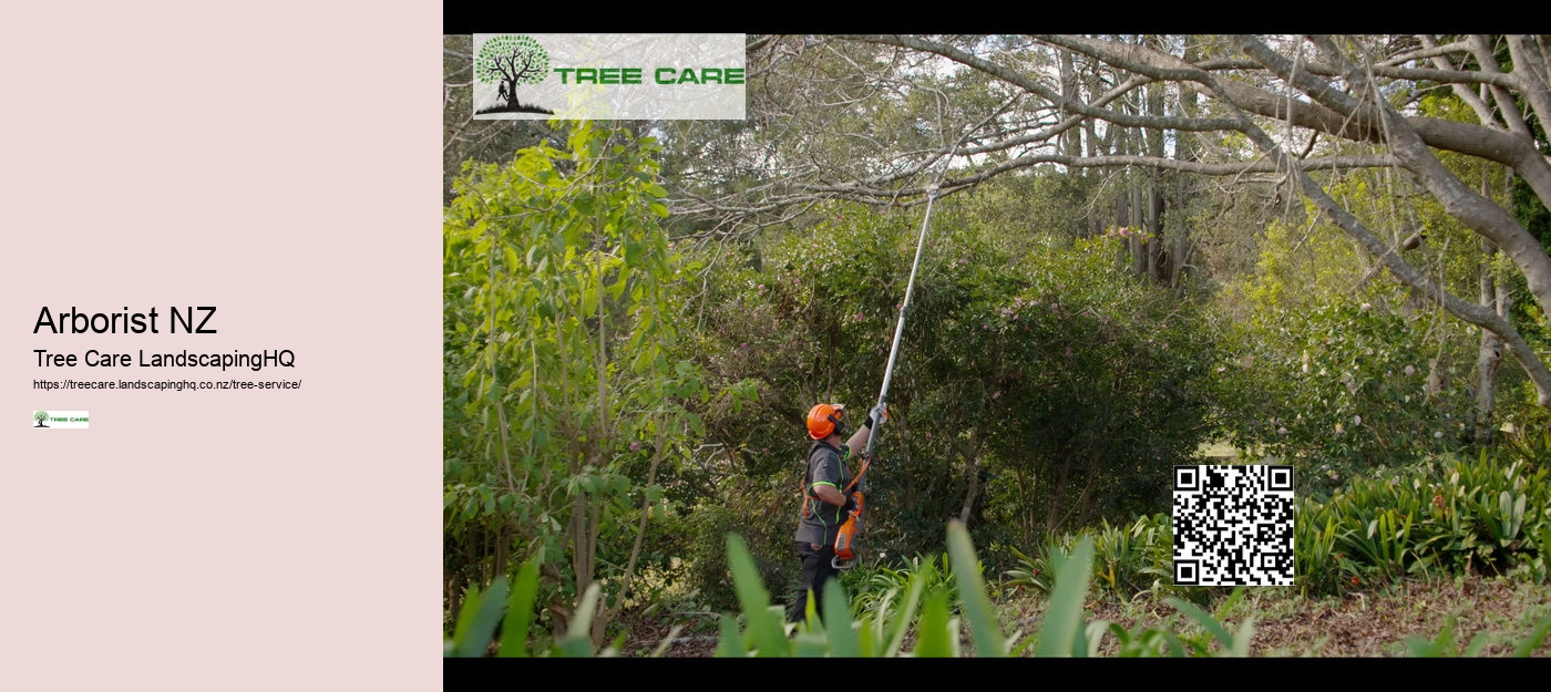 Mandarin Tree Care NZ