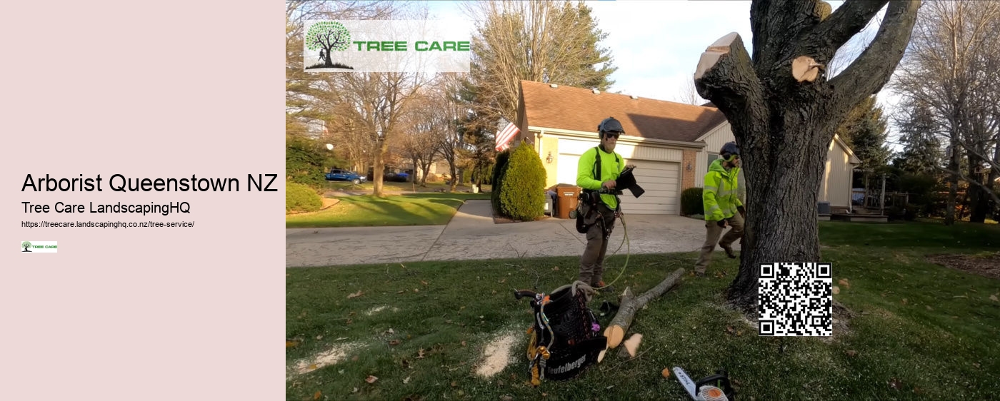 Tauranga Arborist