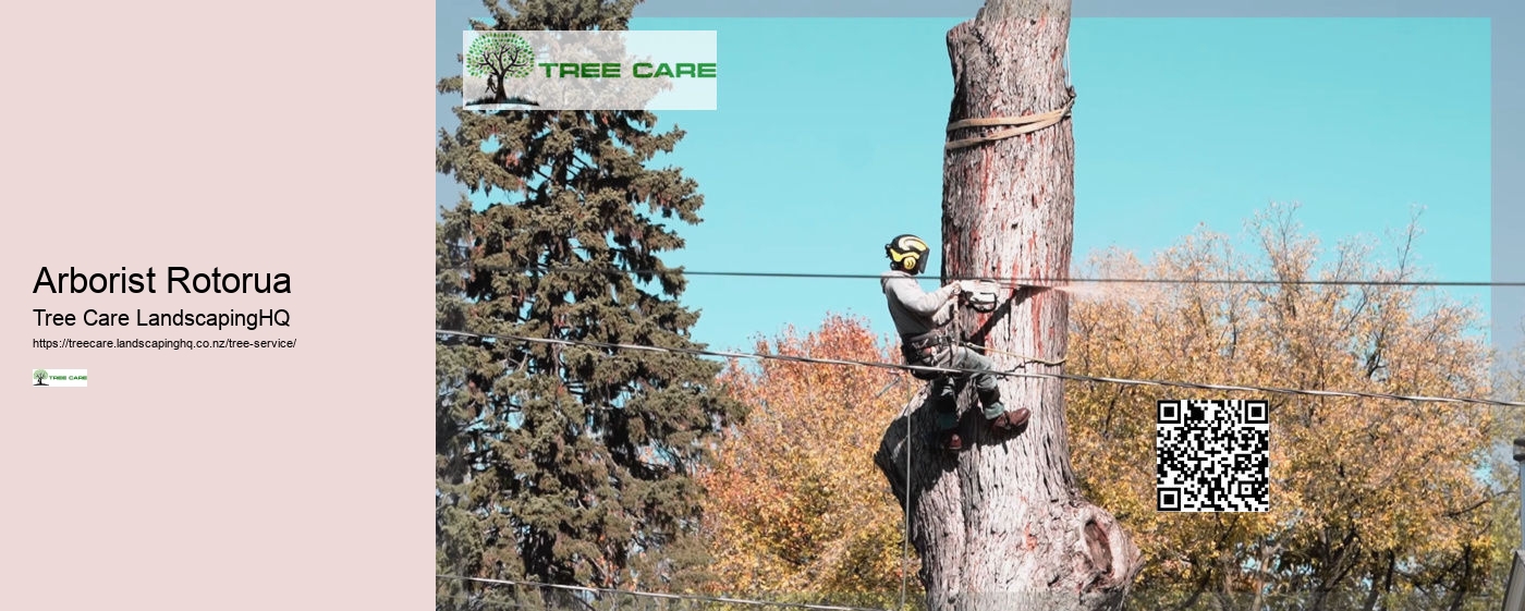 Arborist In Nelson NZ