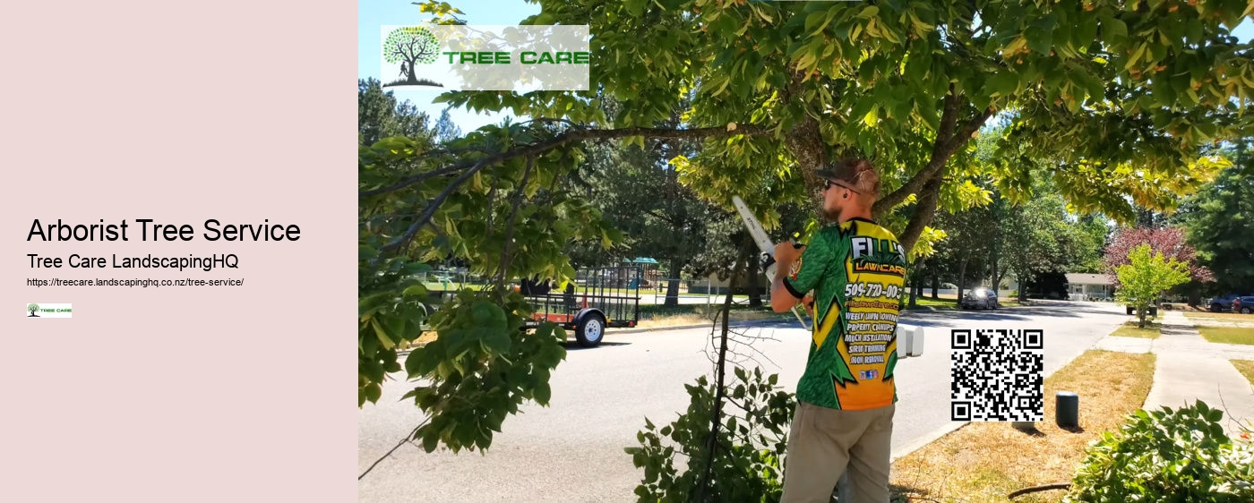 Arborist Napier