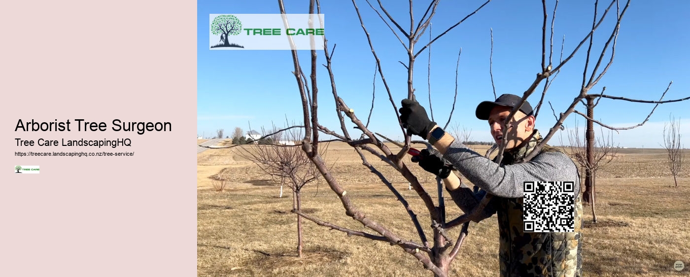 Tree Services West Auckland