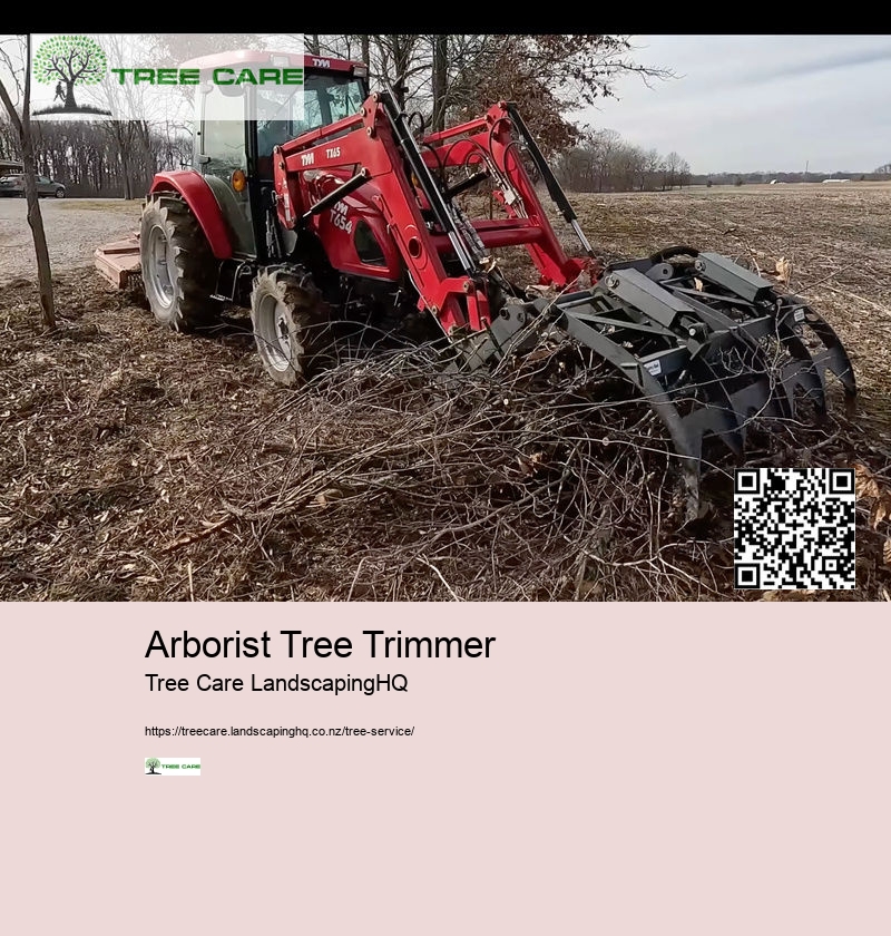 Arborist Tree Trimmer