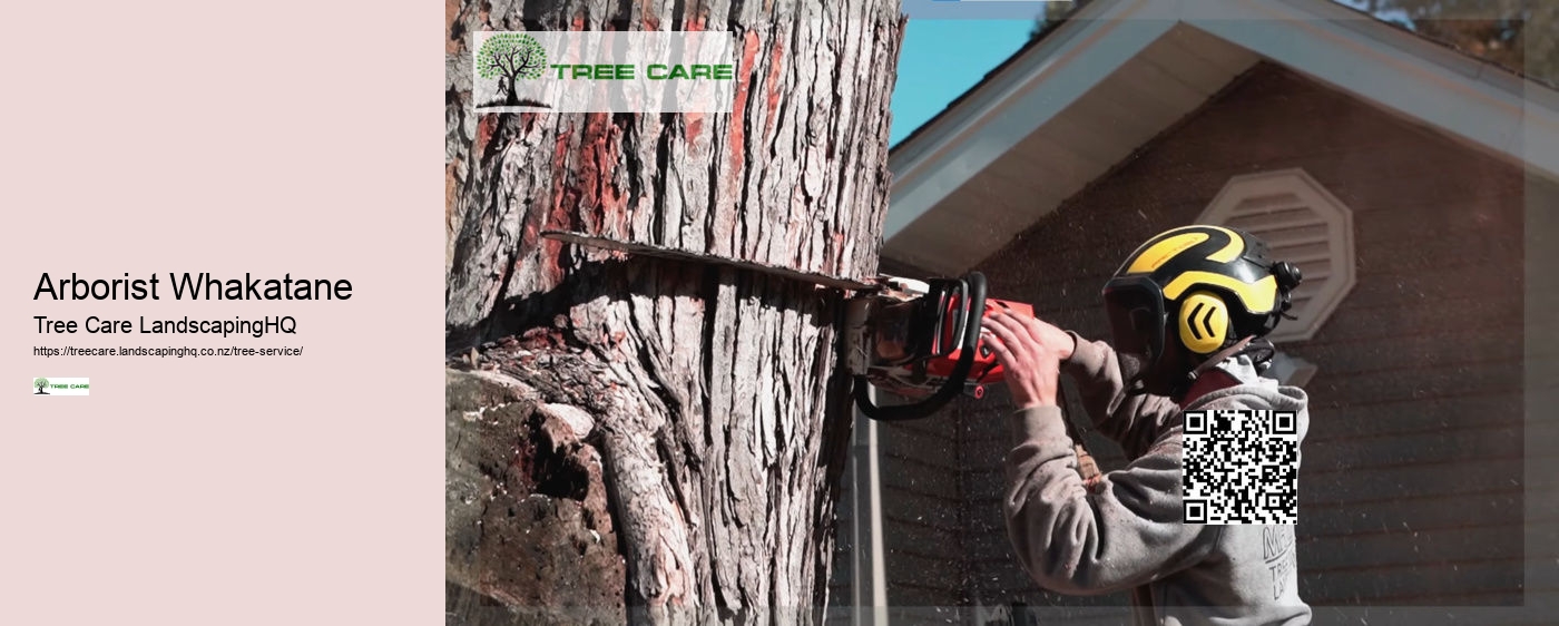 Tree Removal Whakatane