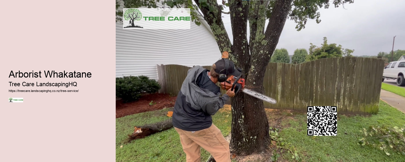 Tree Removal Whakatane