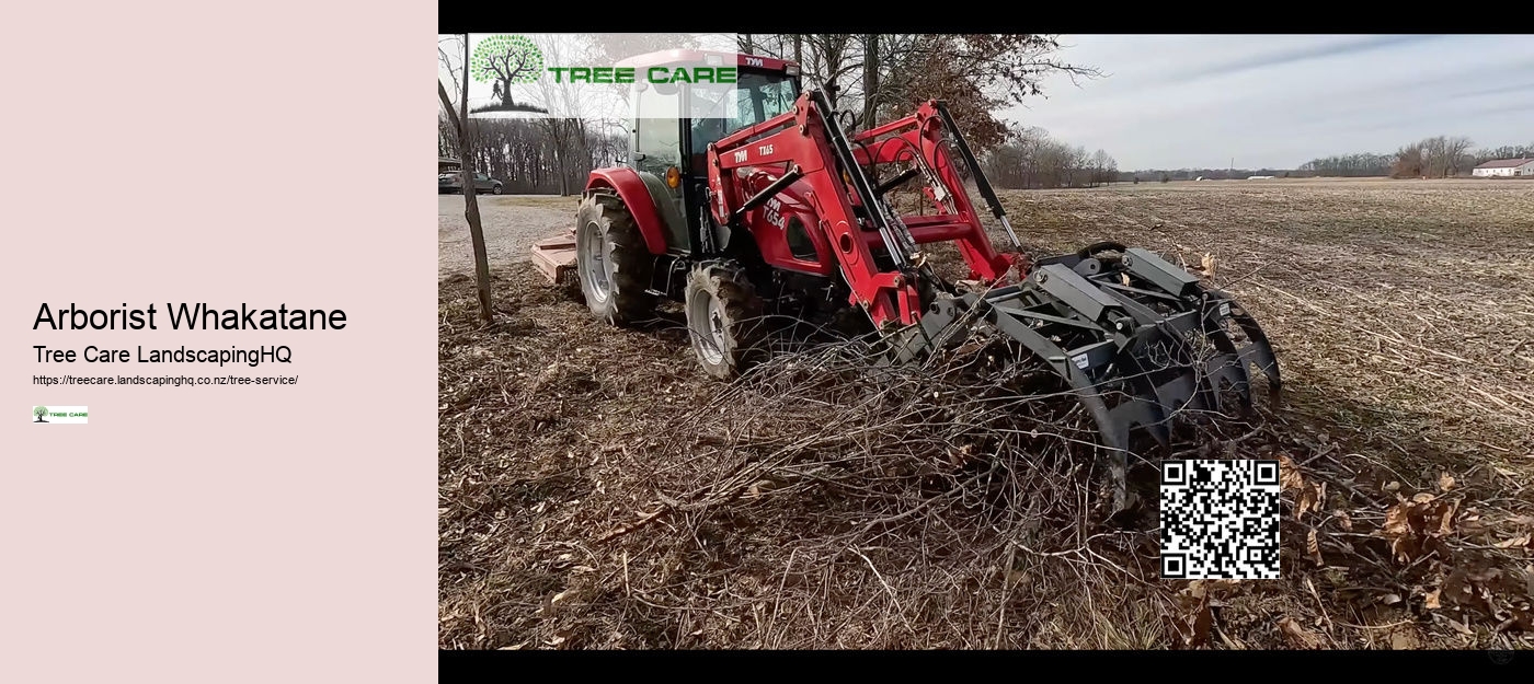 Arborist For Tree Removal