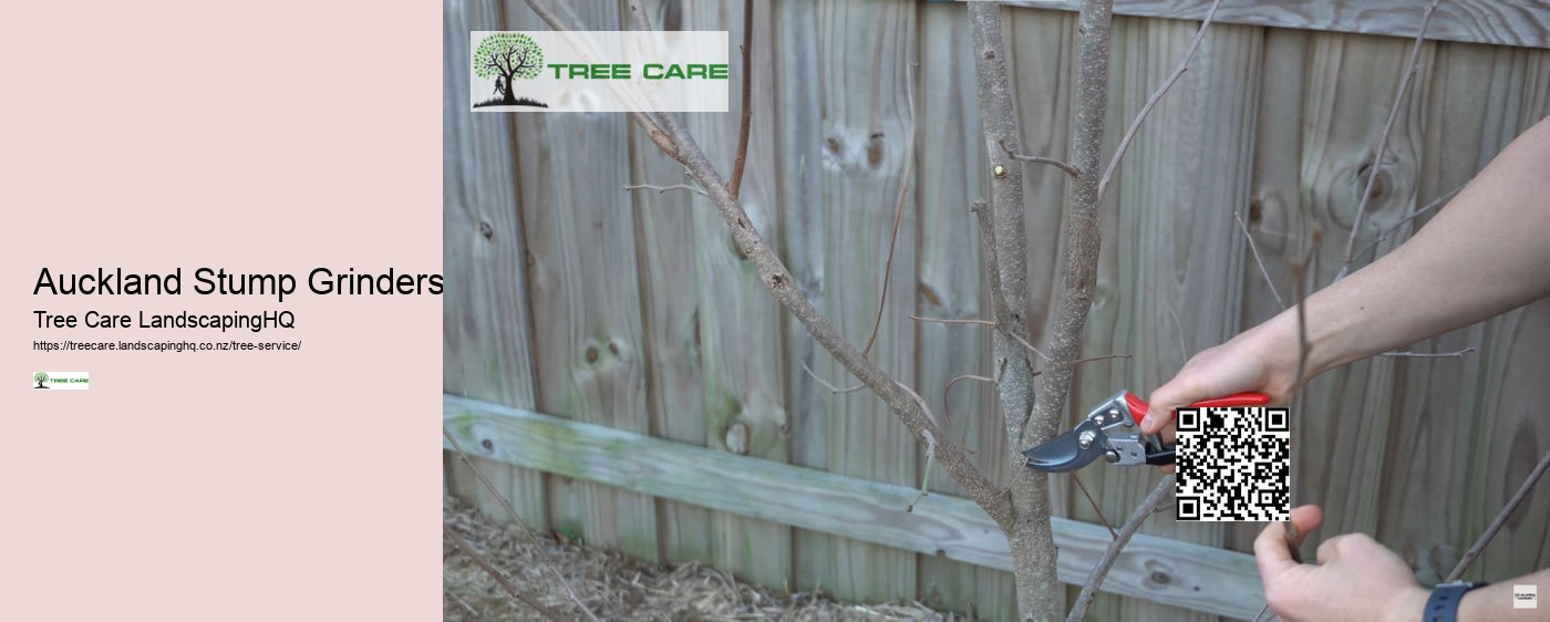 Tree Care Southern Lakes