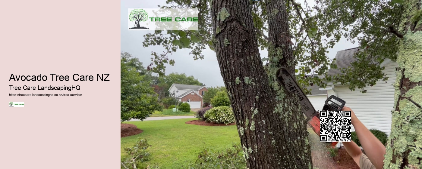 NZ Tree Care