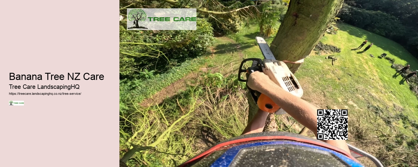 Stump Grinding NZ