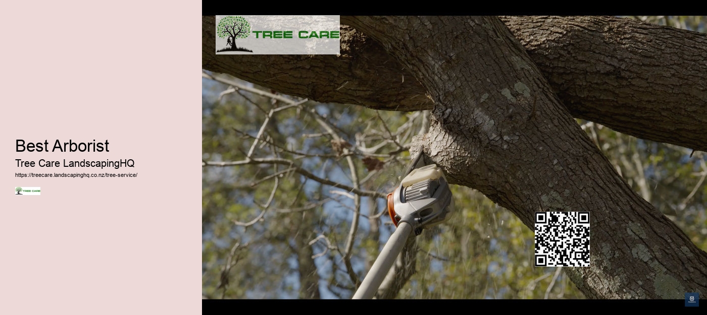 Tree Removal Napier