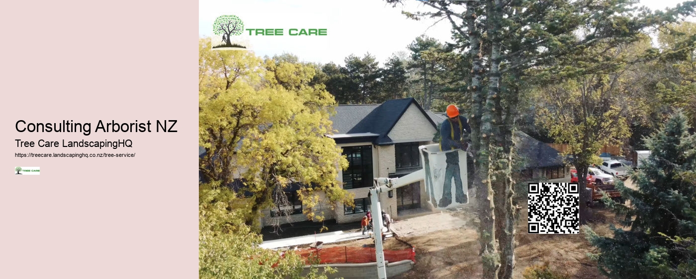 Arborist Lower Hutt