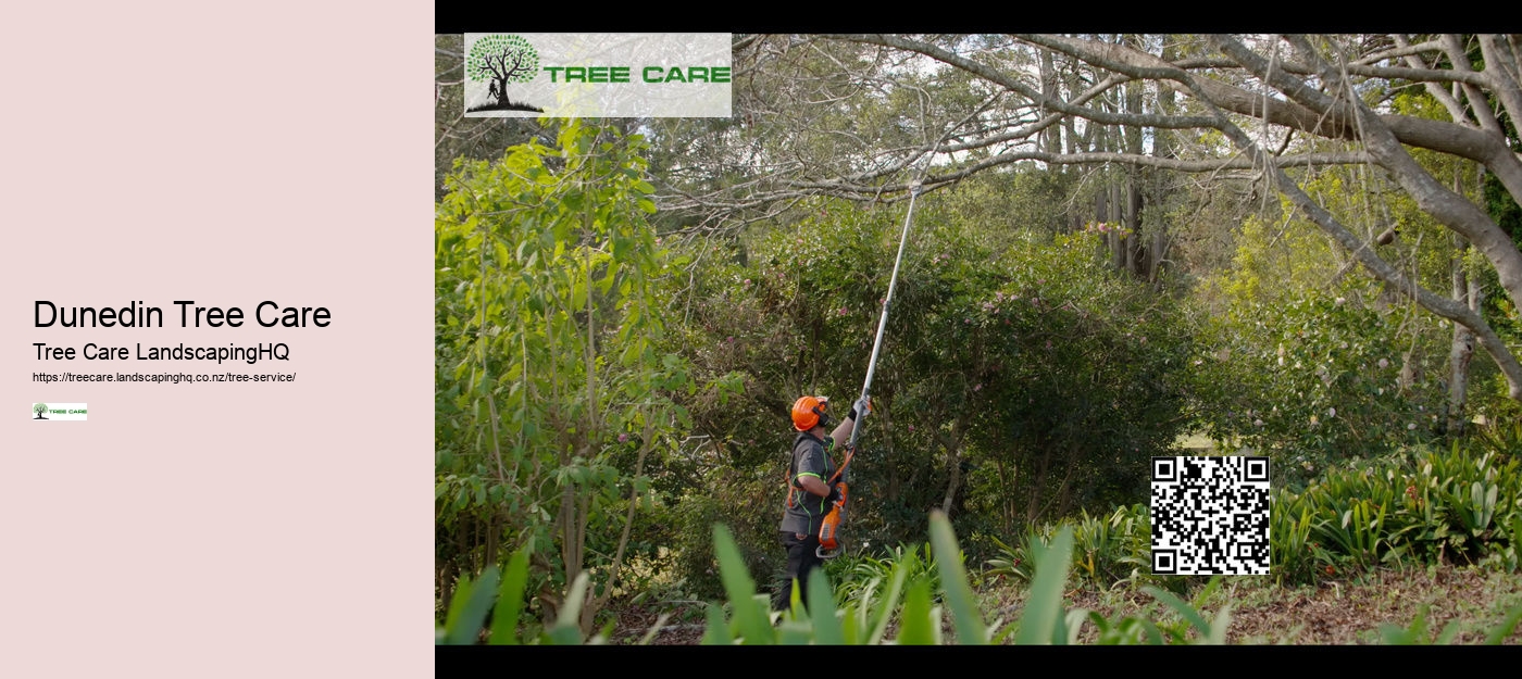 Dunedin Tree Care