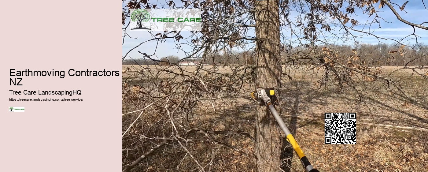 Arborists Nelson