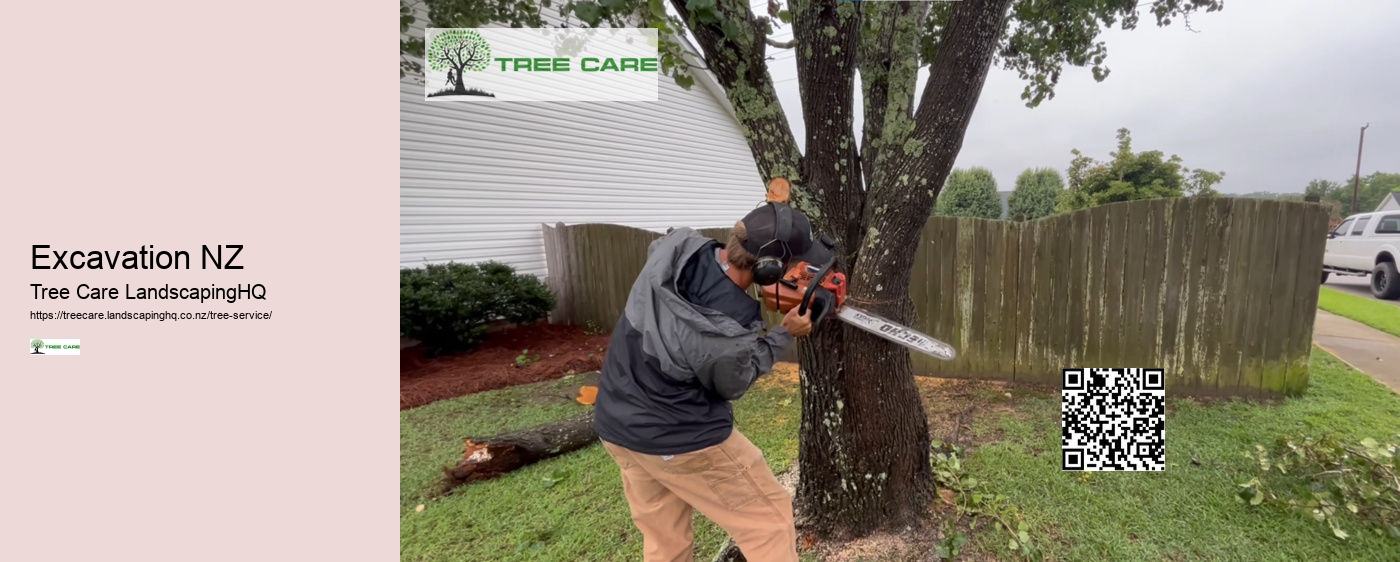 Stump Grinding South Auckland