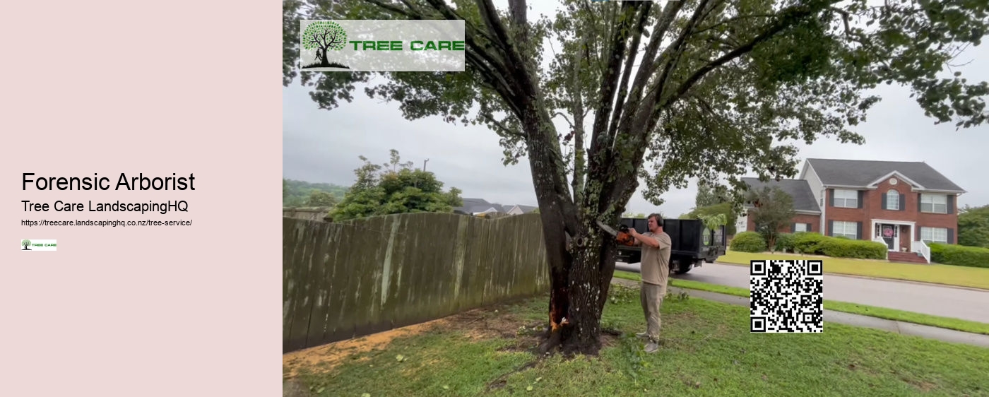 Arborist Dunedin NZ