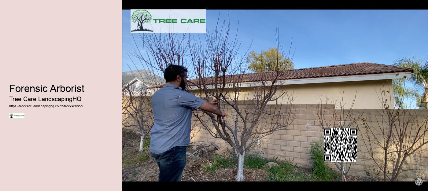 Forensic Arborist