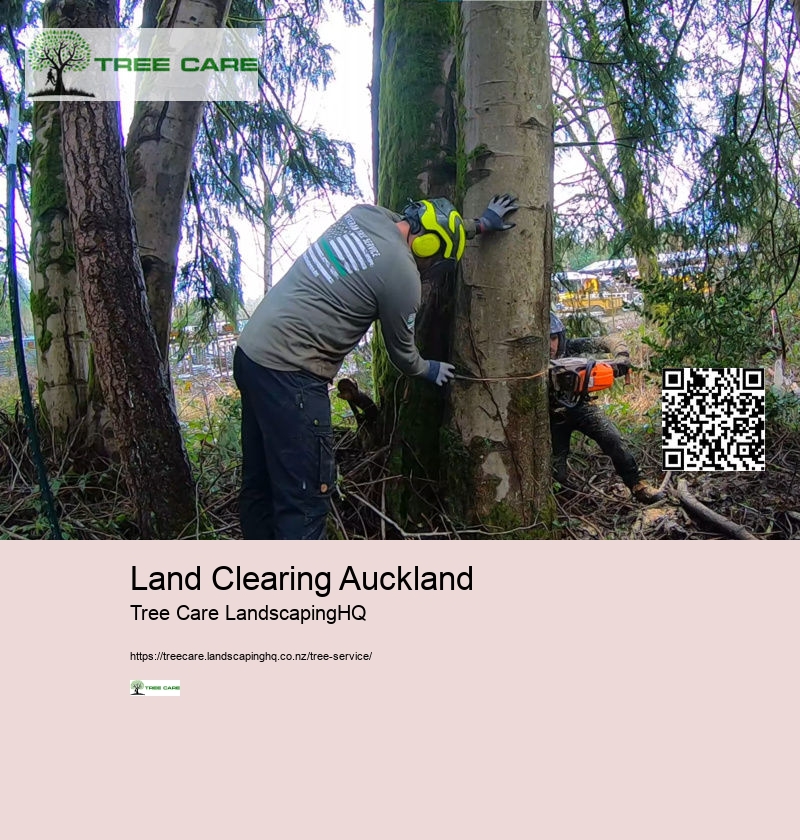 Land Clearing Auckland