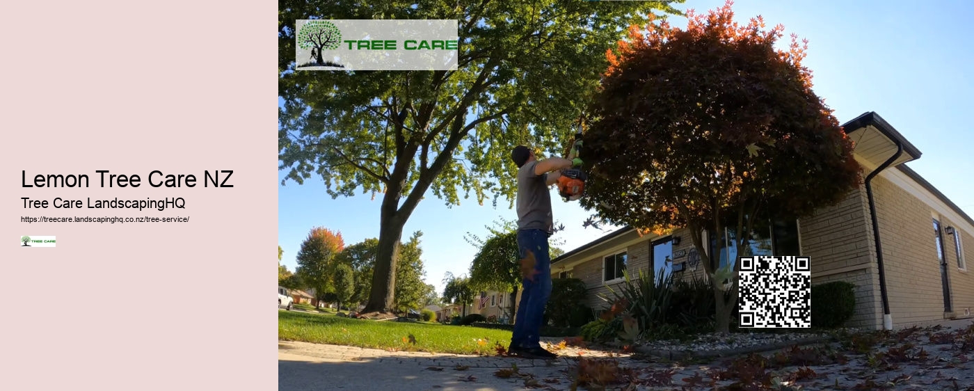 Tree Trimming Nelson NZ