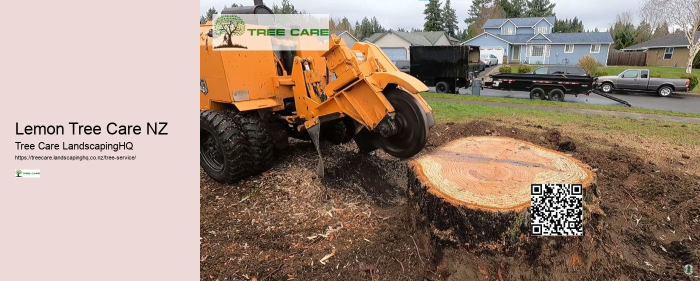 Tree Services Rotorua