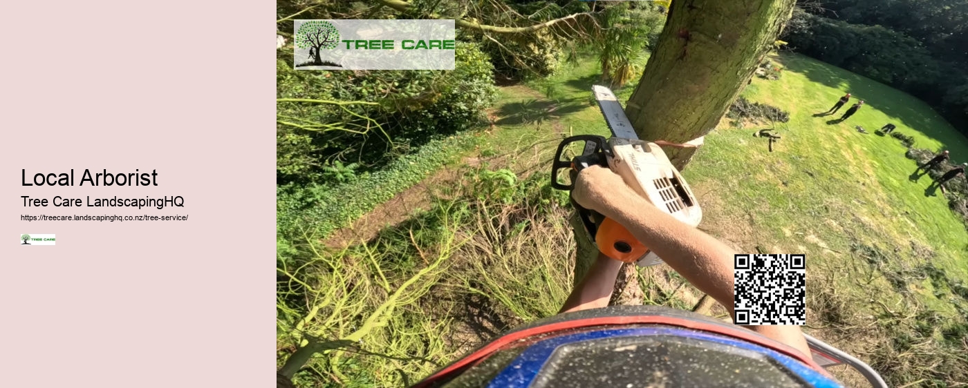 Tree Trimming Napier