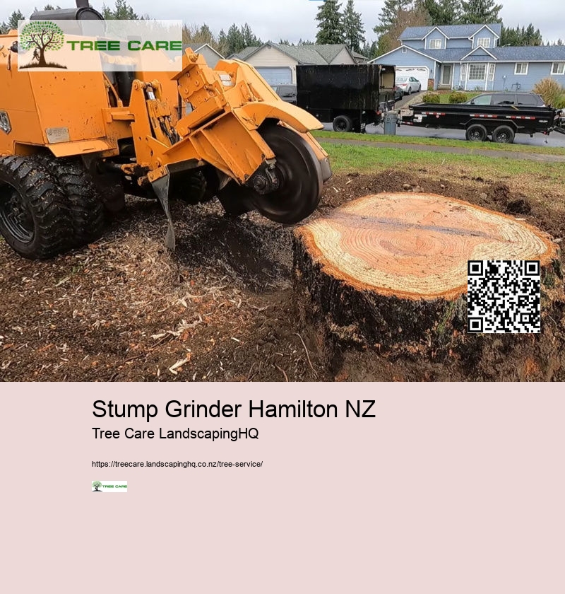 Stump Grinder Hamilton NZ