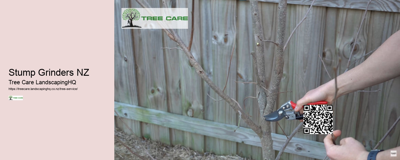 Apricot Tree Care NZ