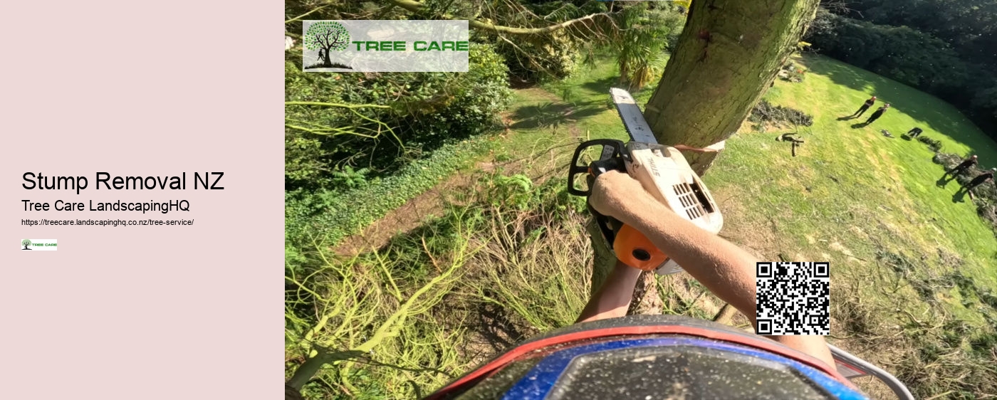 Palm Tree Removal NZ