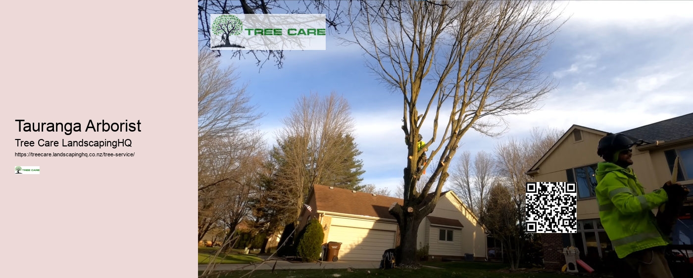 Arborist New Zealand