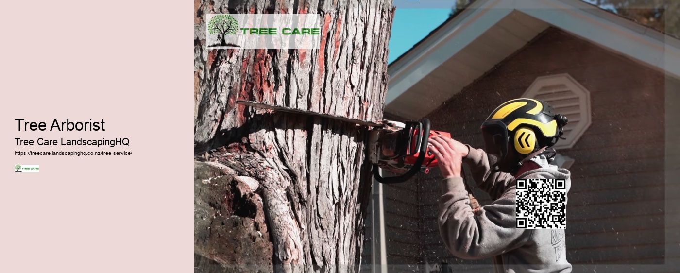 Arborist Cost NZ