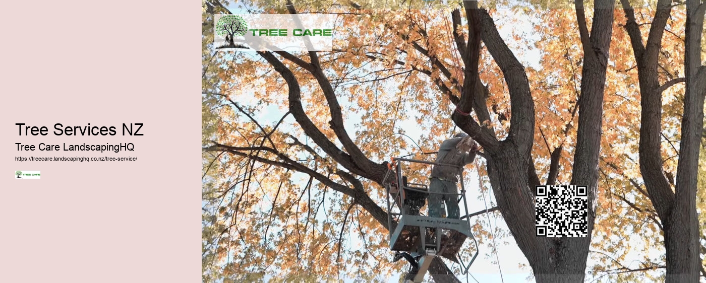 Tree Trimmers Auckland