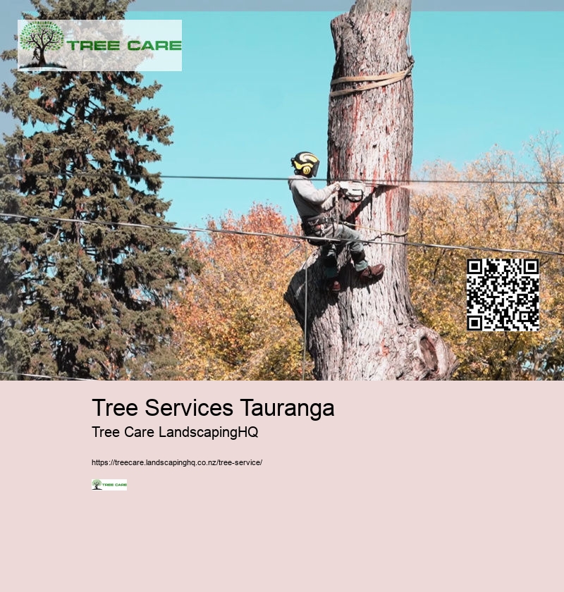 Tree Services Tauranga