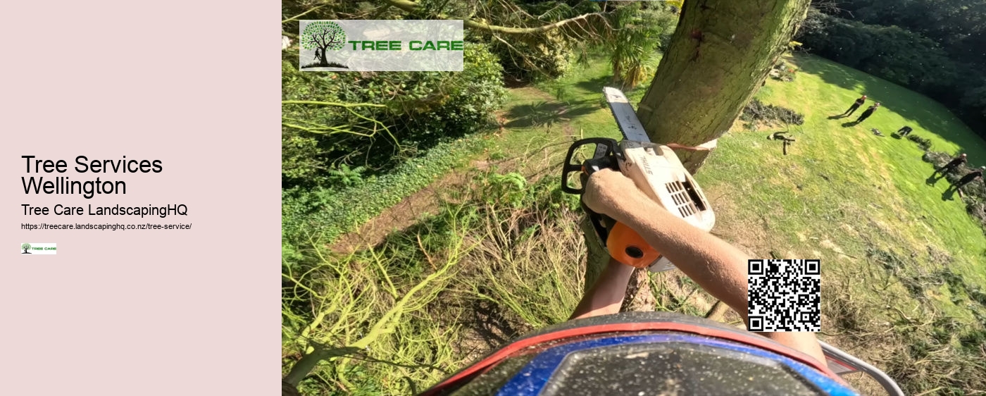 Tree Trimming Tauranga