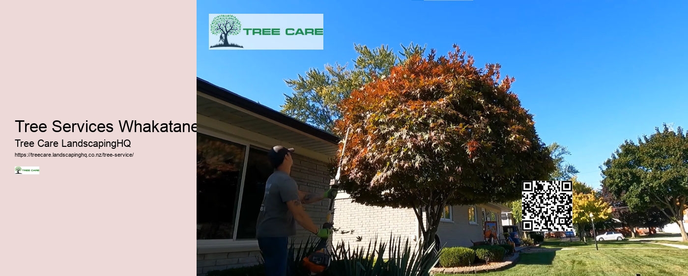 Tree Removal Tauranga